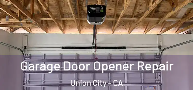  Garage Door Opener Repair Union City - CA